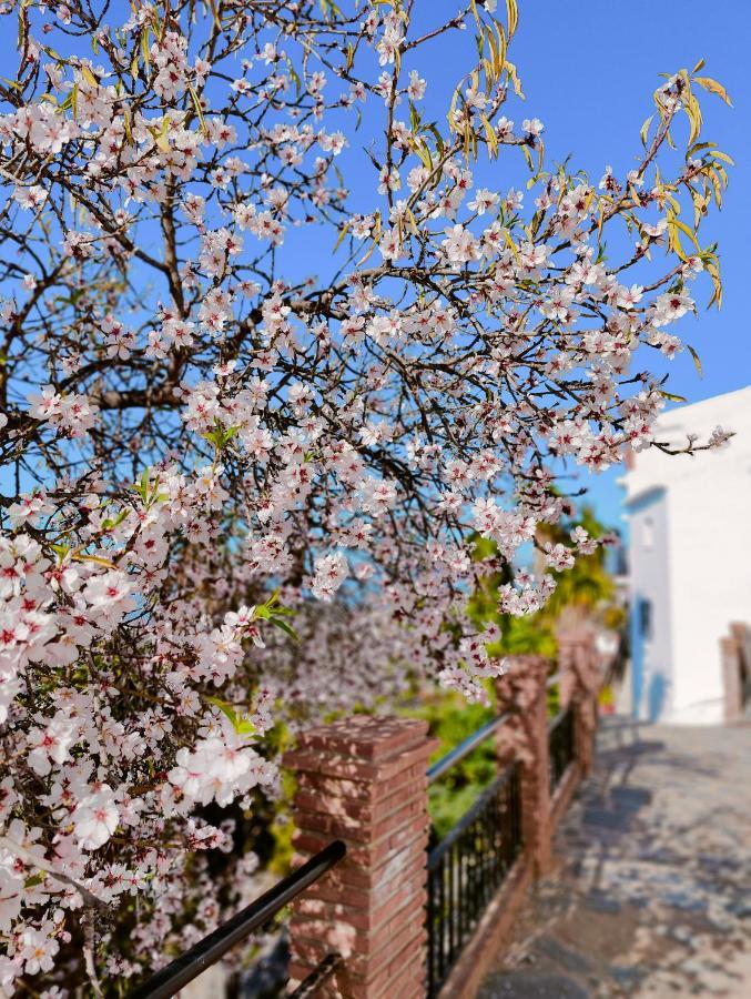 Modern, Bright And Comfortable Apartment With Shared Roof Terrace Canillas de Aceituno Esterno foto